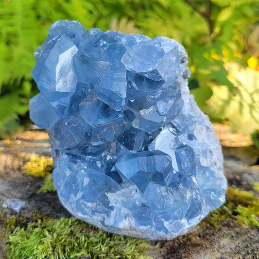Celestite Energy for June
