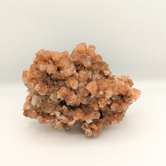Brown Aragonite Star C