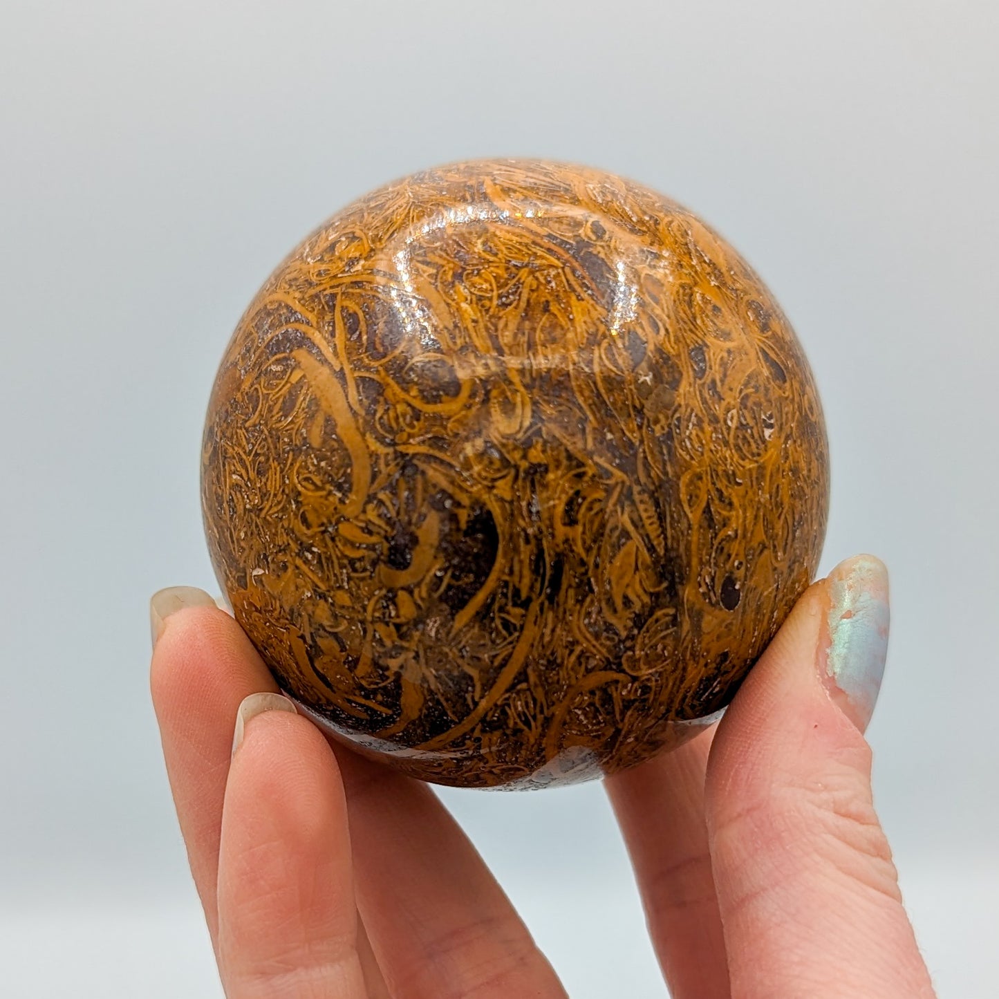 Miriam Jasper Sphere