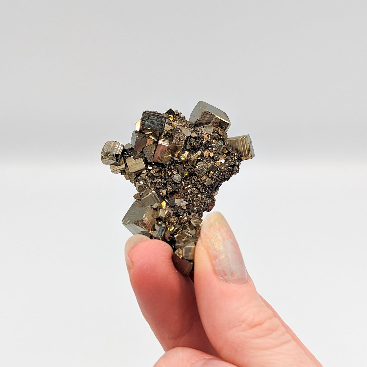 Pyrite Cubic Cluster Museum Quality