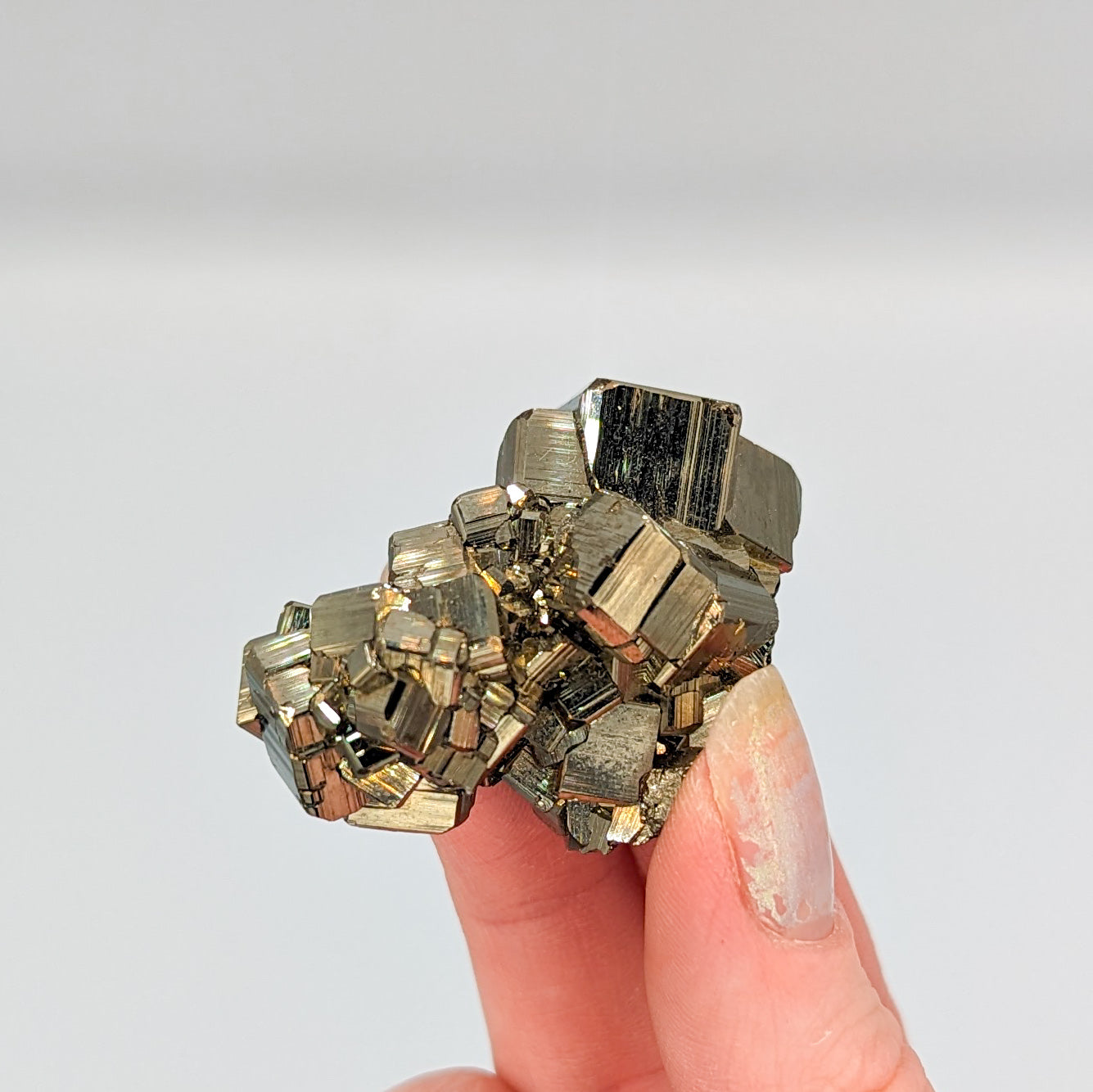 Pyrite Cubic Cluster Museum Quality