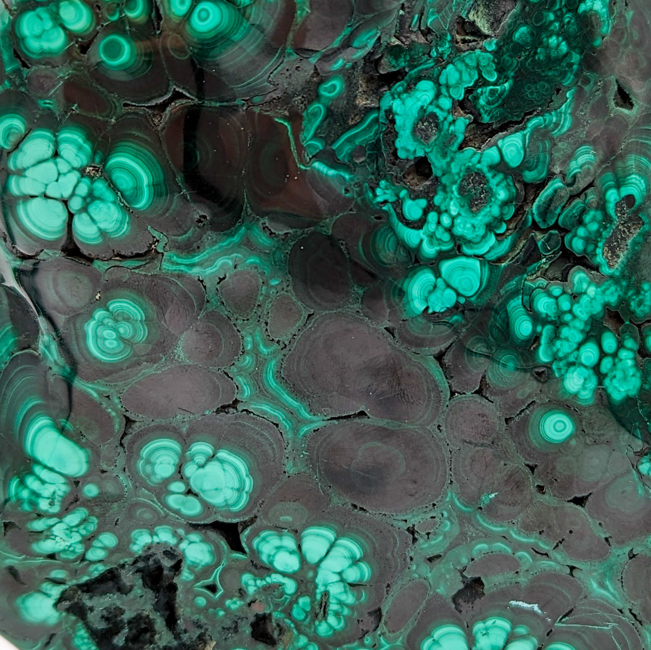 Malachite Free Form Xl