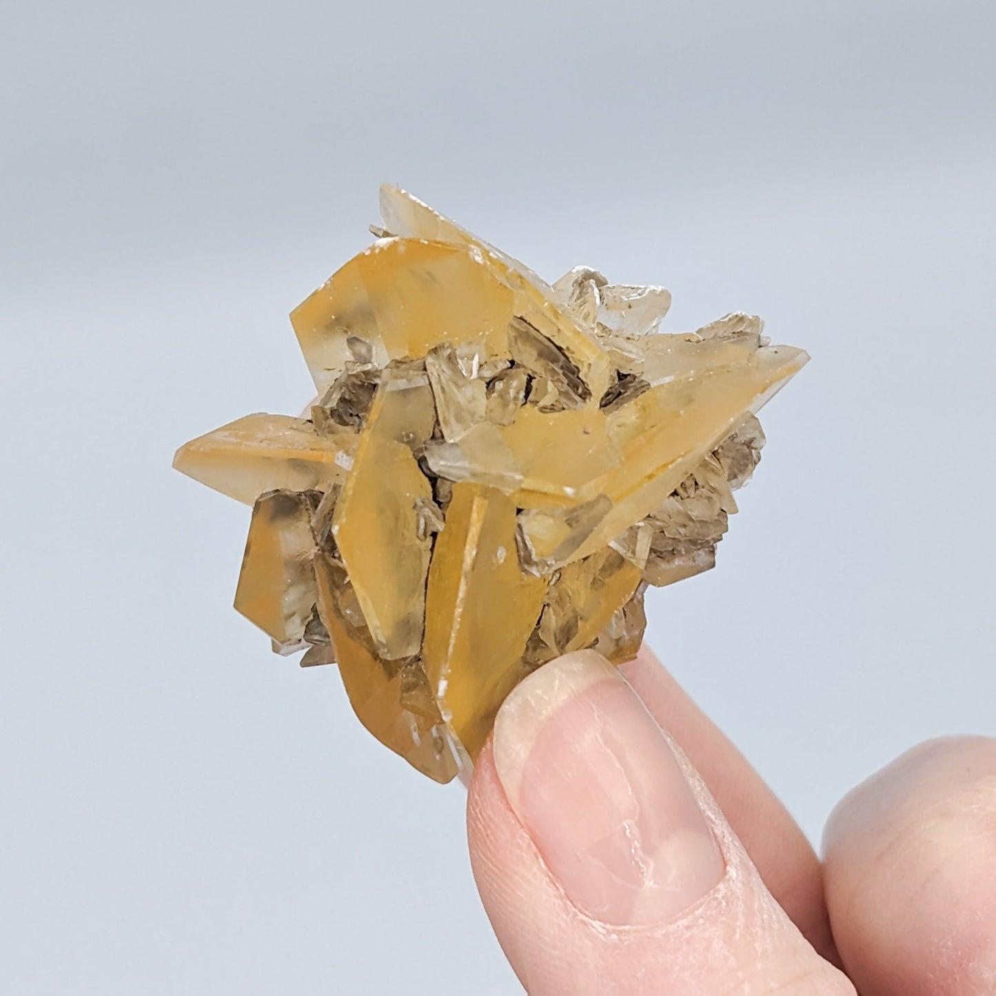 Gypsum Selenite Fluorescent A