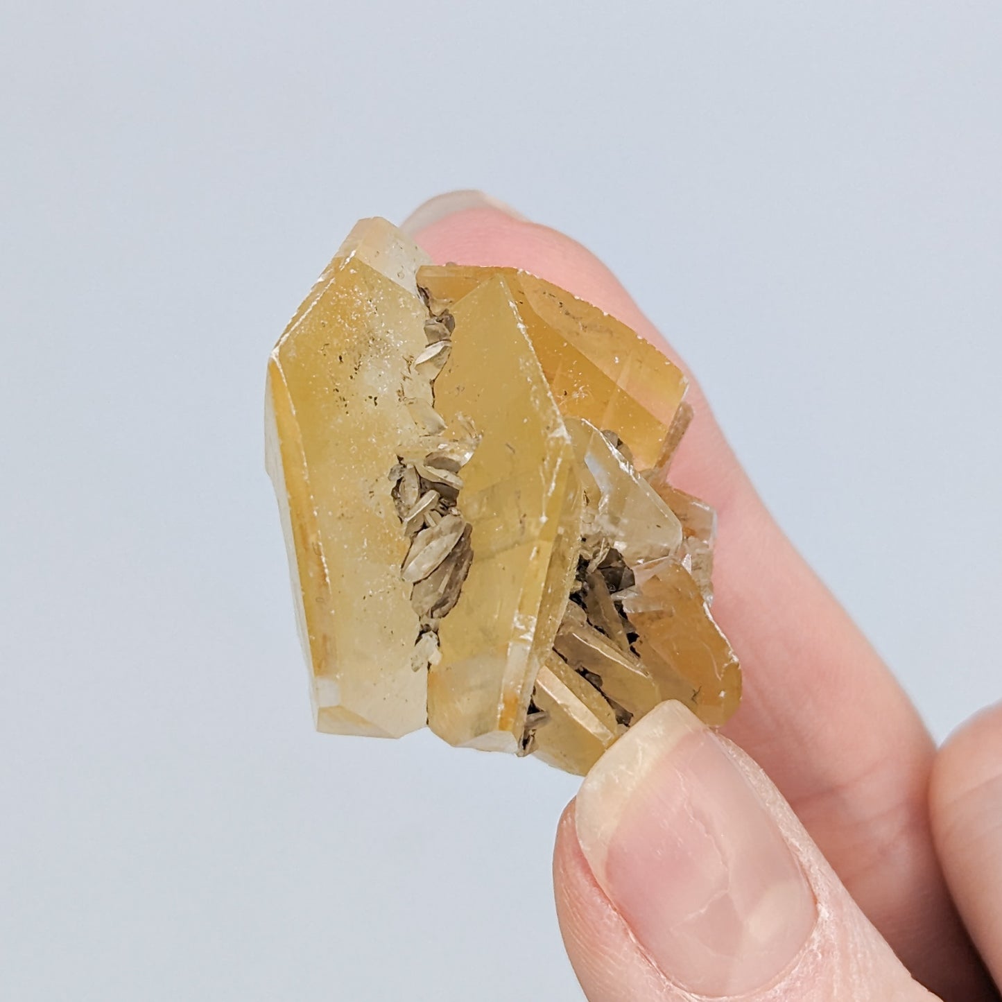 Gypsum Selenite Fluorescent B