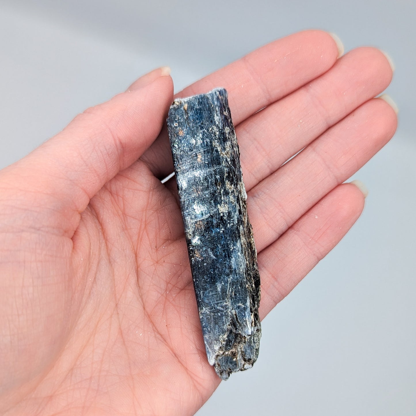 Indigo Kyanite with Black Mica #B
