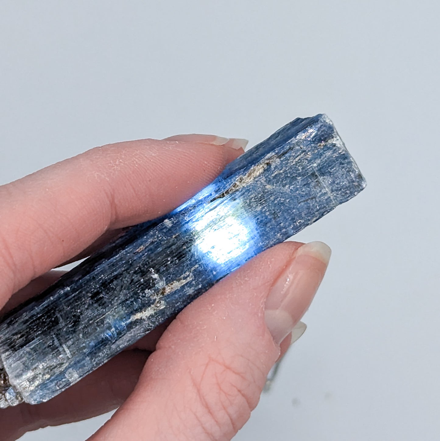 Indigo Kyanite with Black Mica (Intuitively Selected)