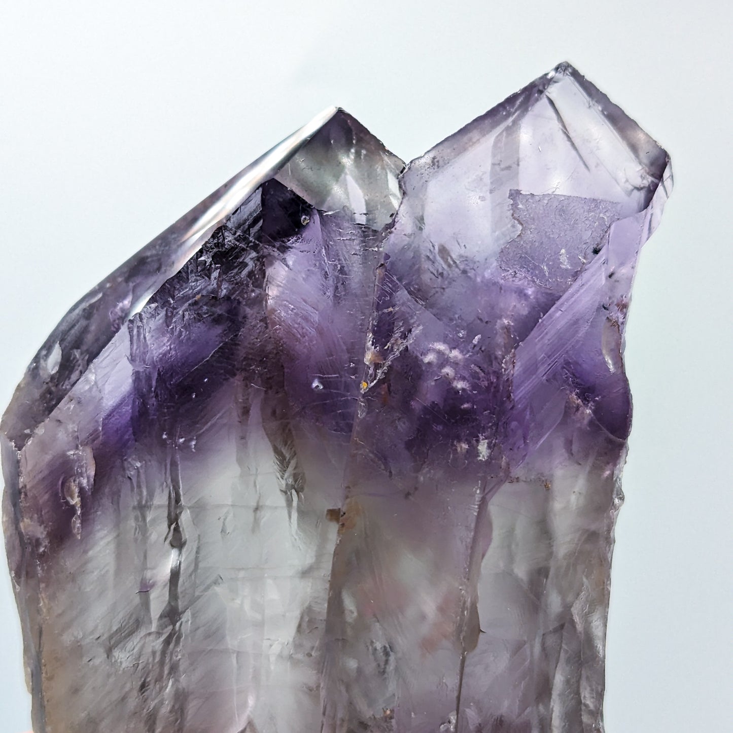 Amethyst Root Large Style F