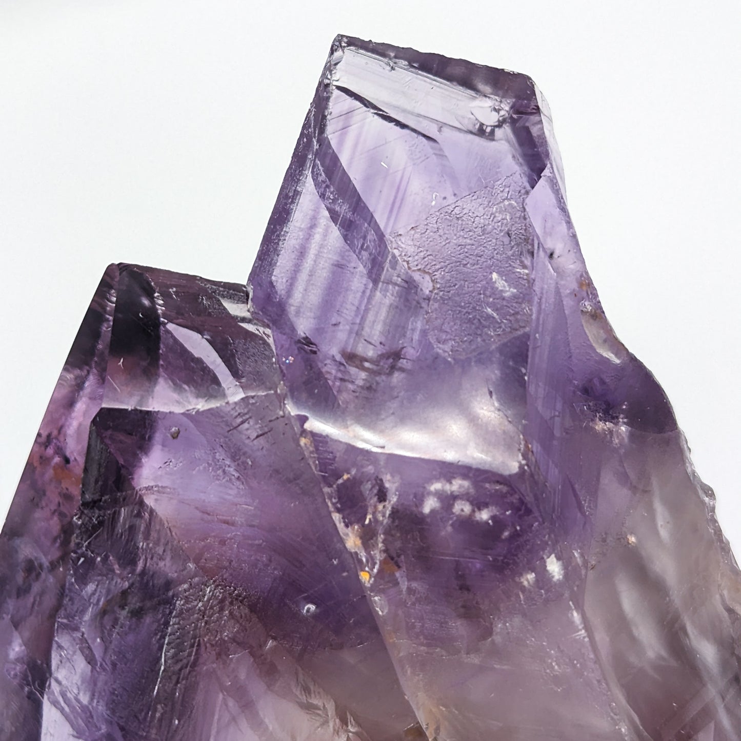 Amethyst Root Large Style F
