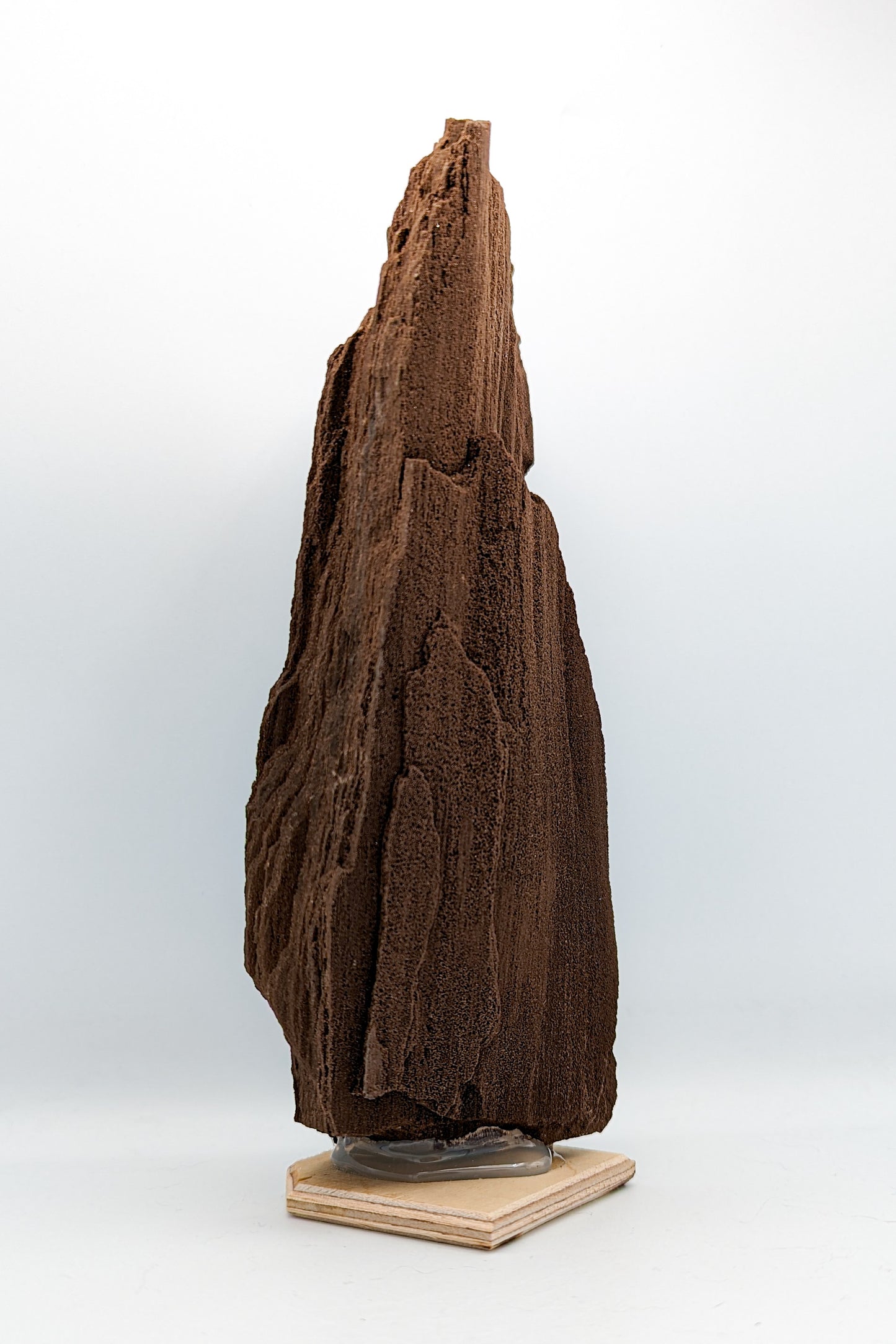 Perimineralized Fossil Wood with Quartz A