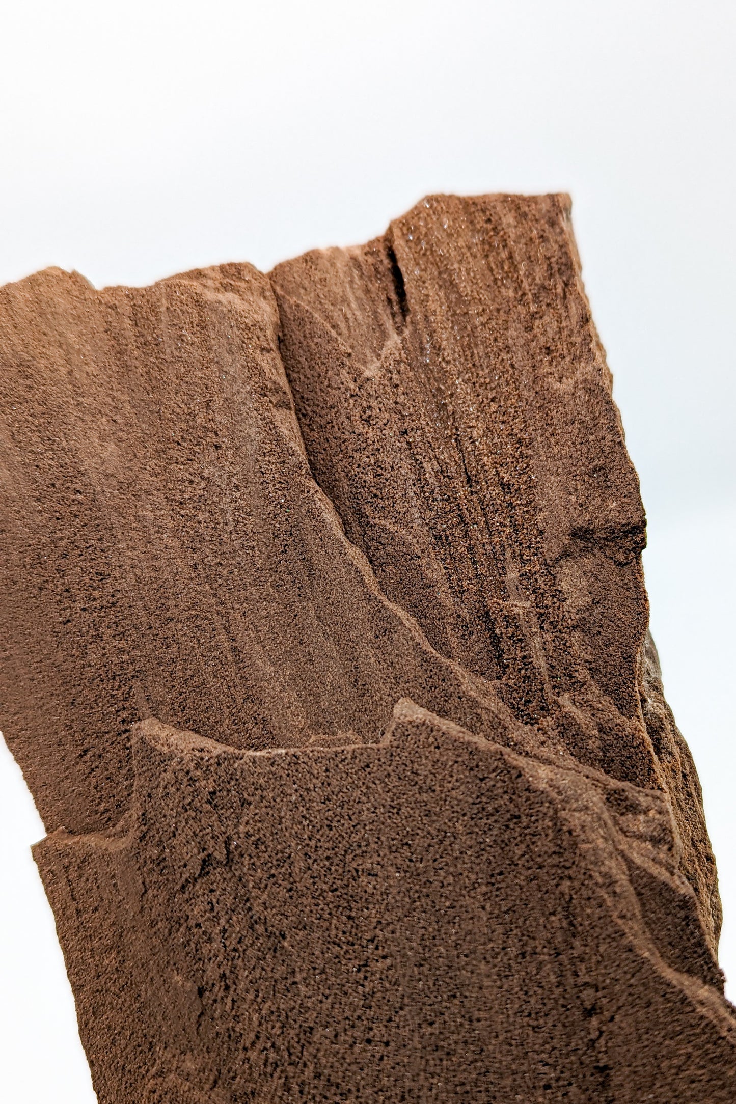 Perimineralized Fossil Wood with Quartz A