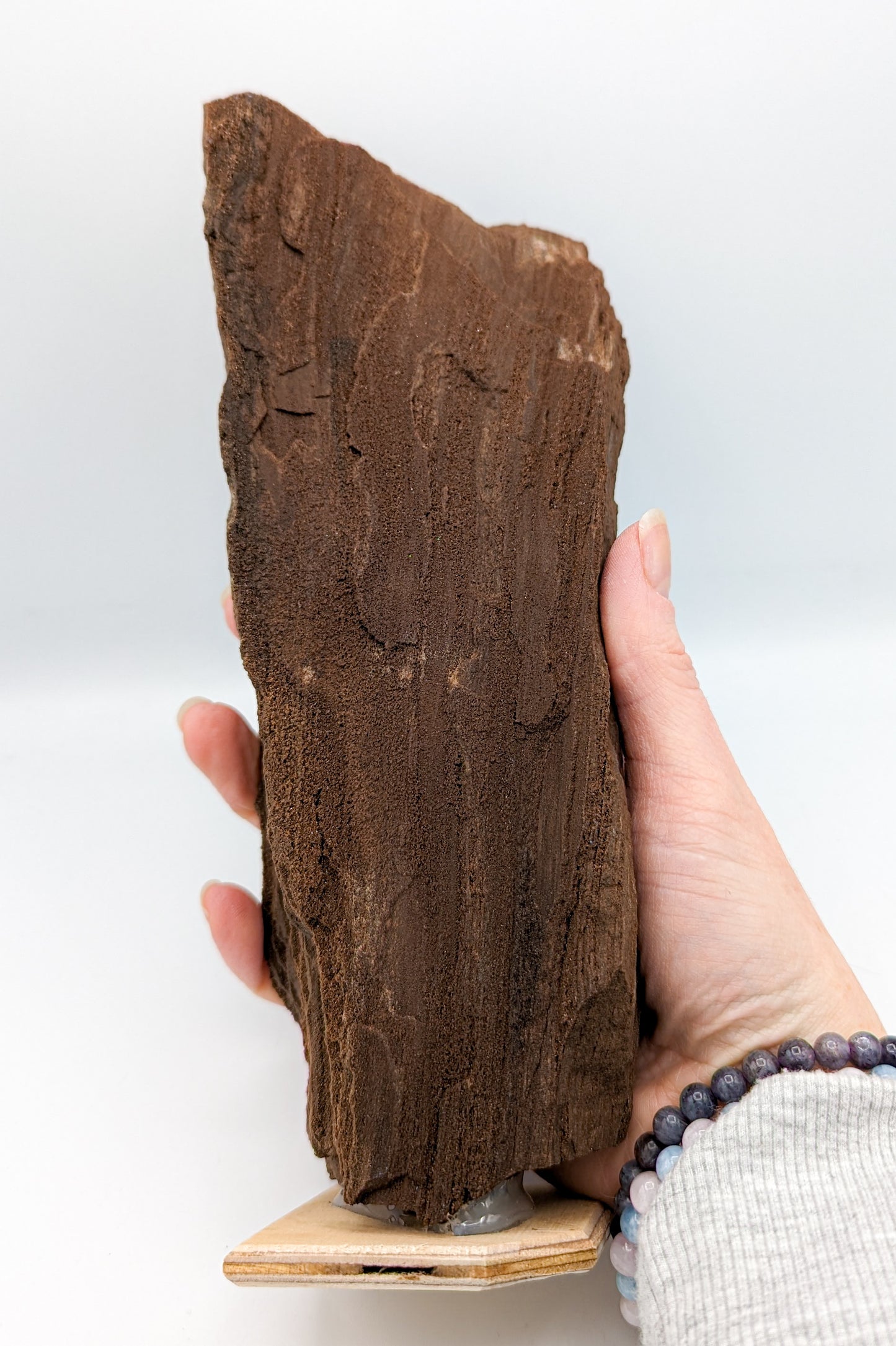 Perimineralized Fossil Wood with Quartz A