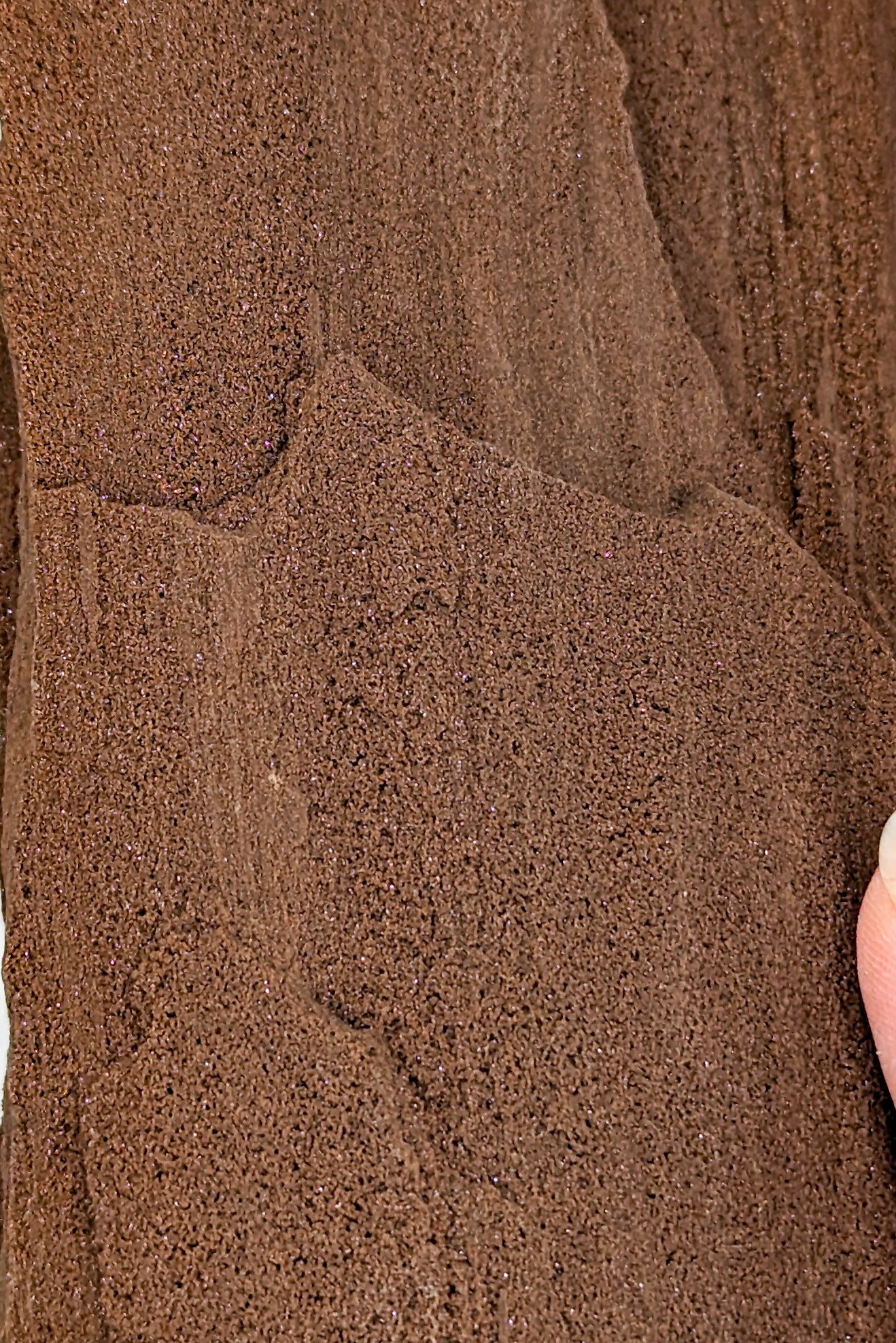 Perimineralized Fossil Wood with Quartz A