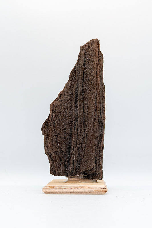 Perimineralized Fossil Wood with Quartz C