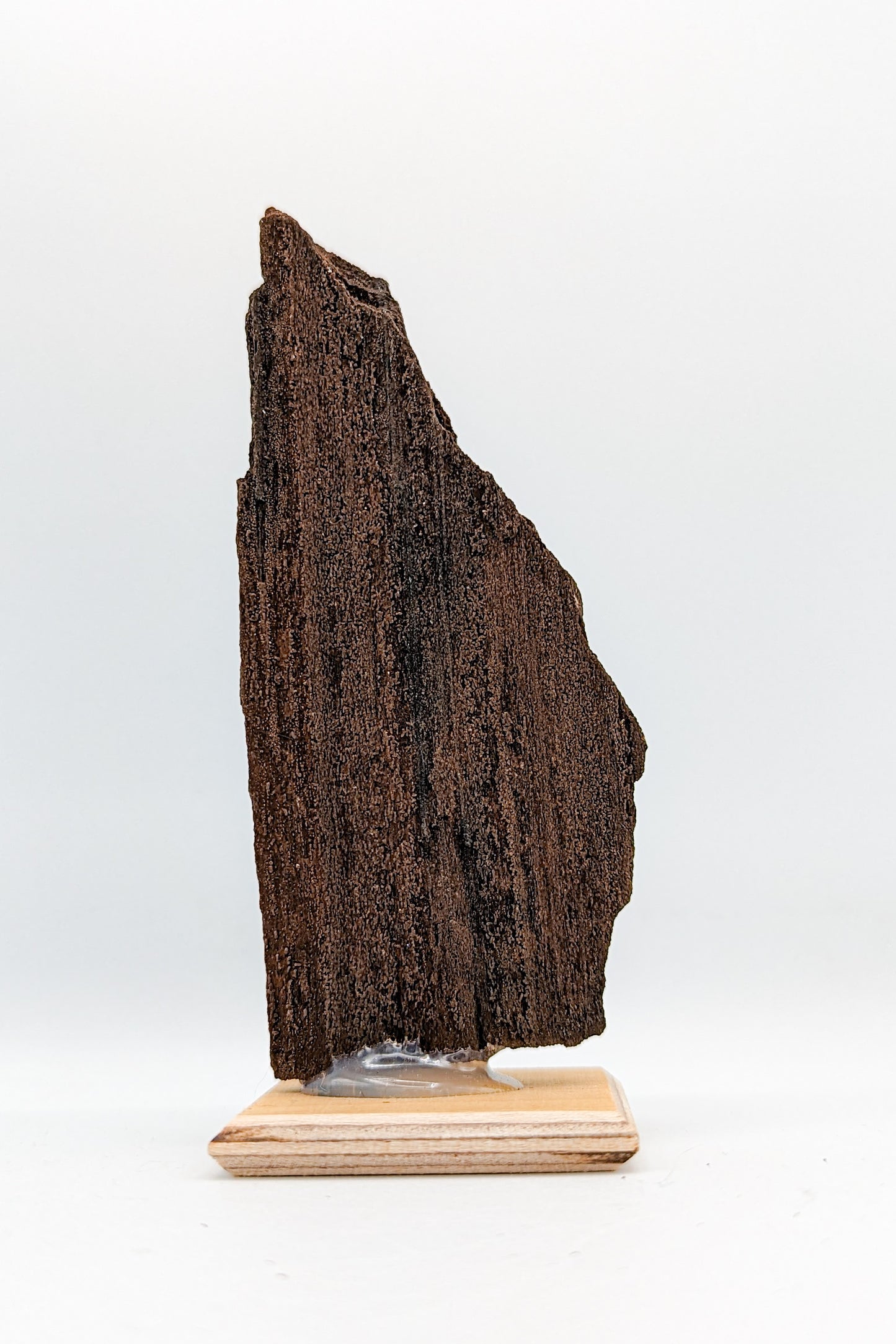 Perimineralized Fossil Wood with Quartz C