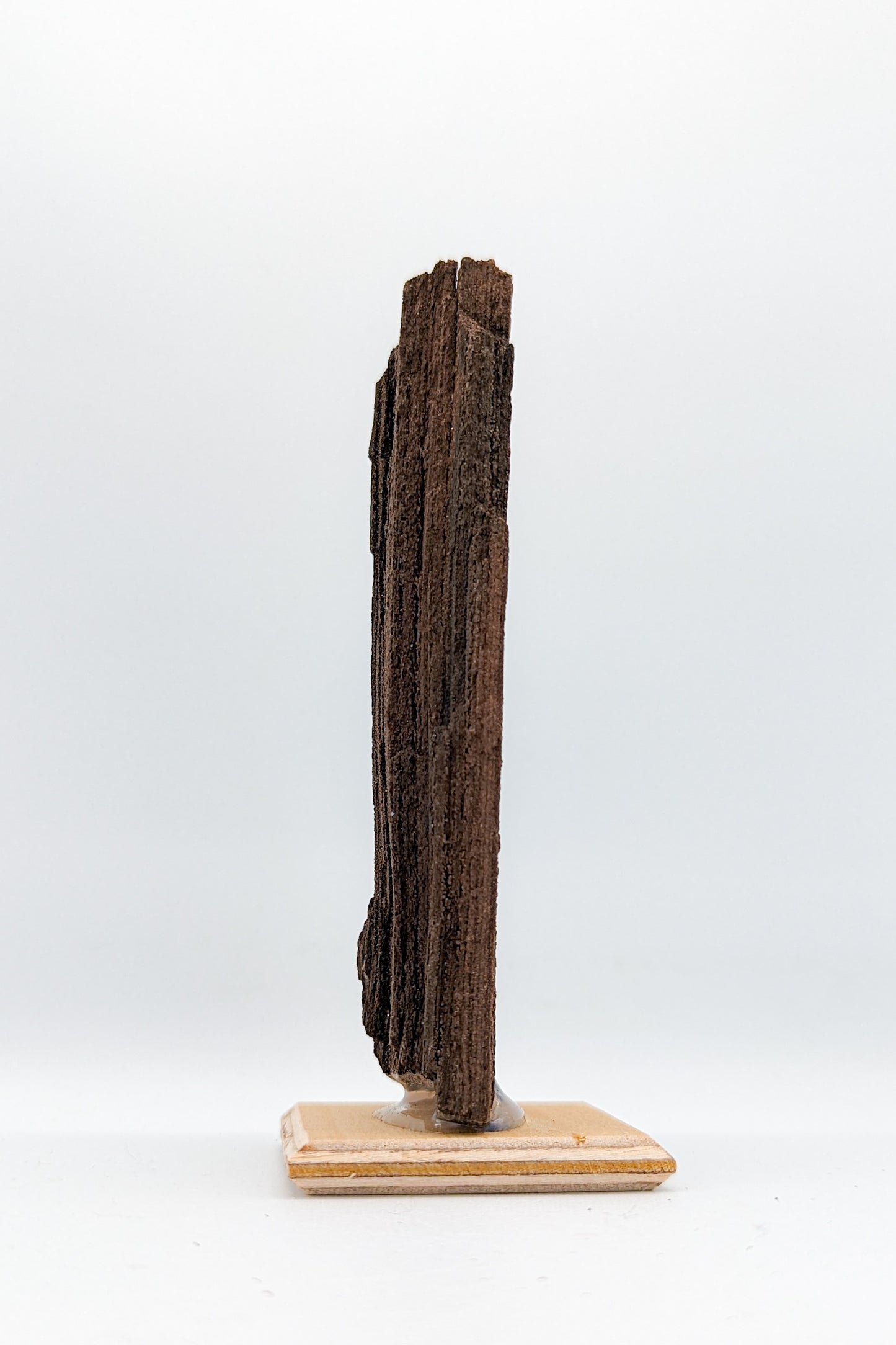 Perimineralized Fossil Wood with Quartz C