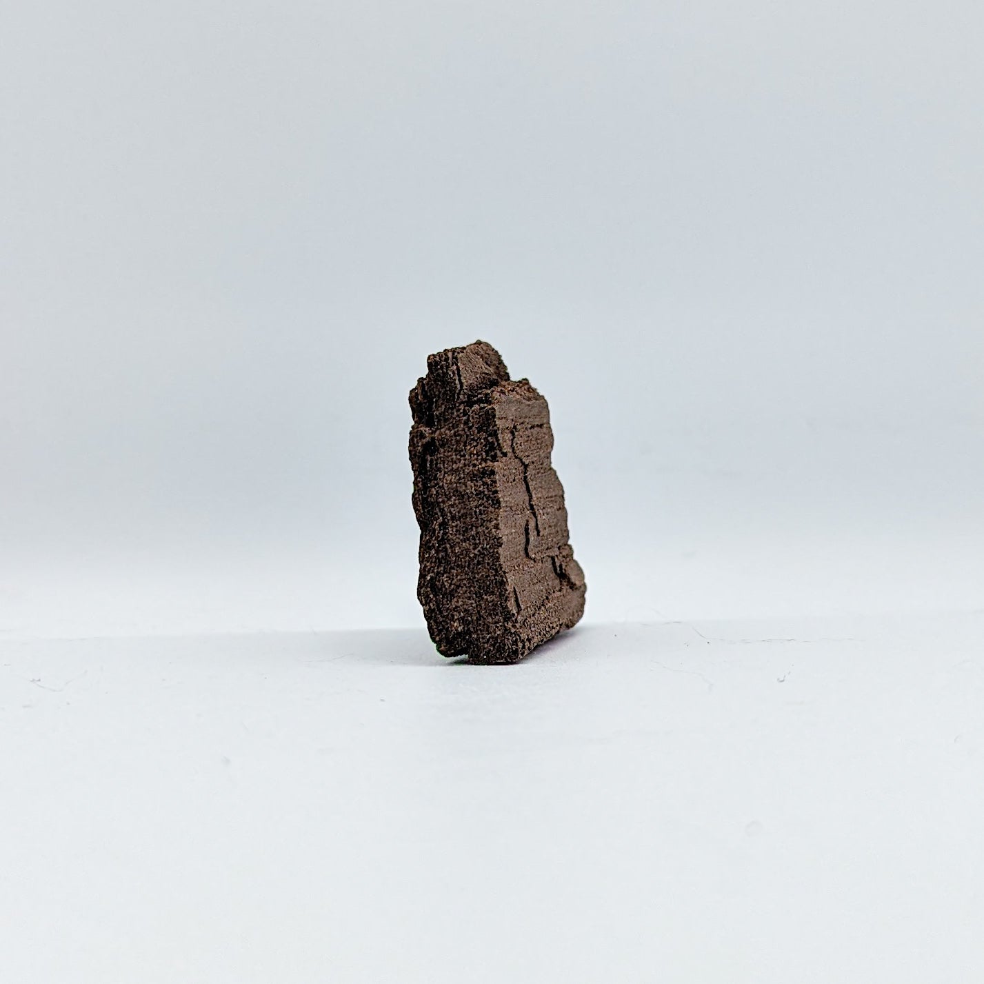 Perimineralized Fossil Wood with Quartz K