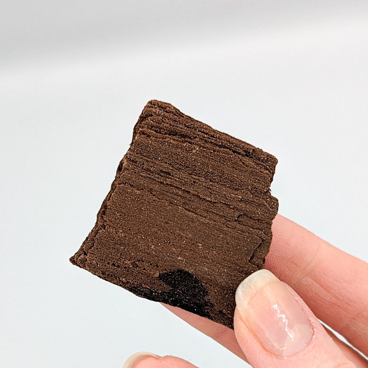 Perimineralized Fossil Wood with Quartz K