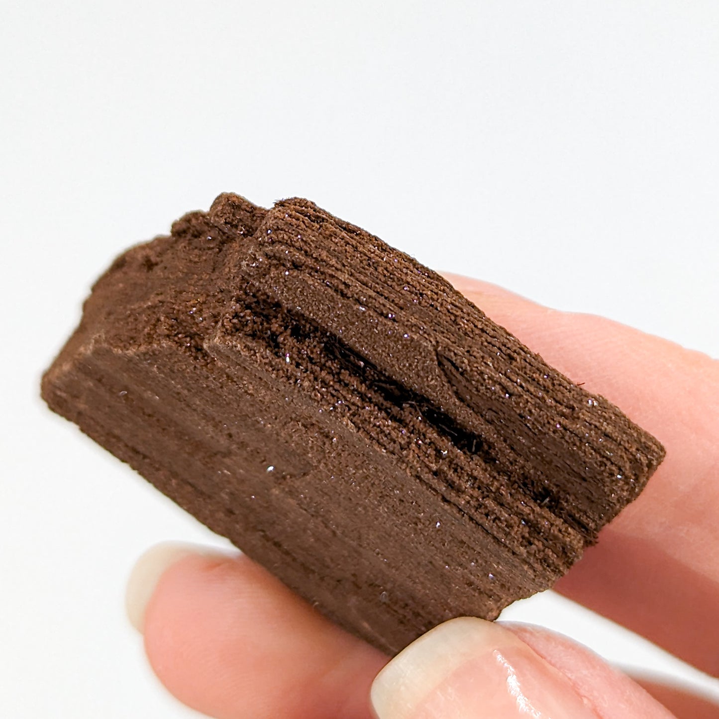 Perimineralized Fossil Wood with Quartz K
