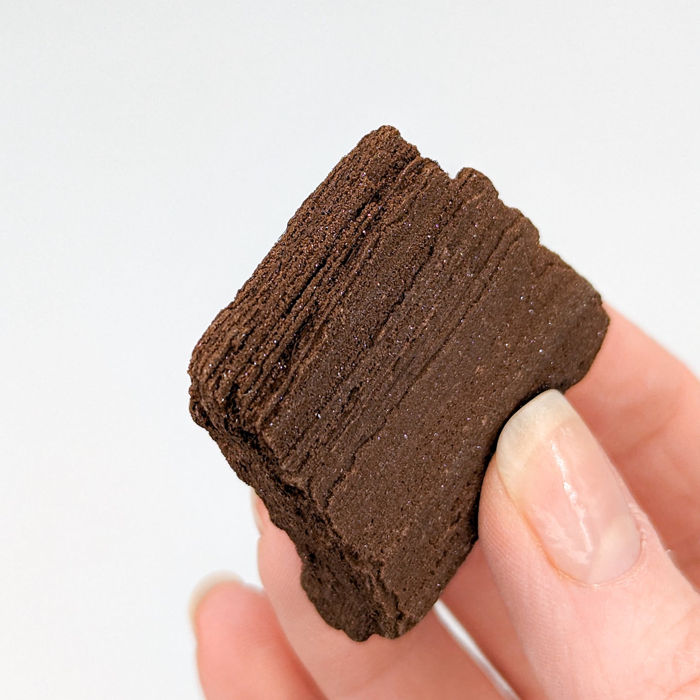 Perimineralized Fossil Wood with Quartz K