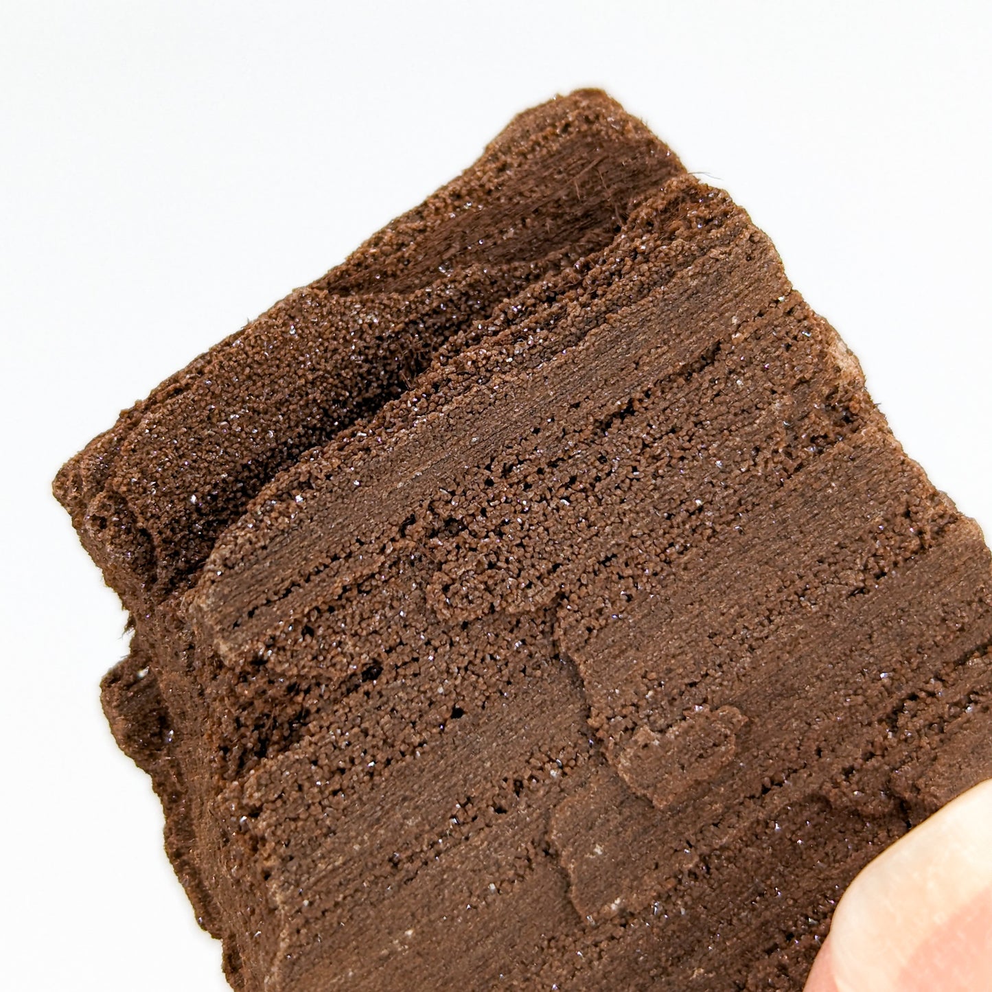 Perimineralized Fossil Wood with Quartz K