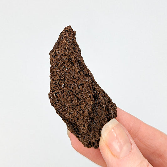 Perimineralized Fossil Wood with Quartz I