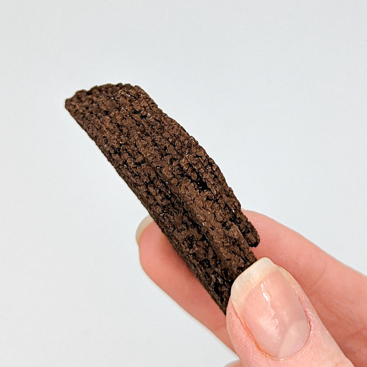 Perimineralized Fossil Wood with Quartz I
