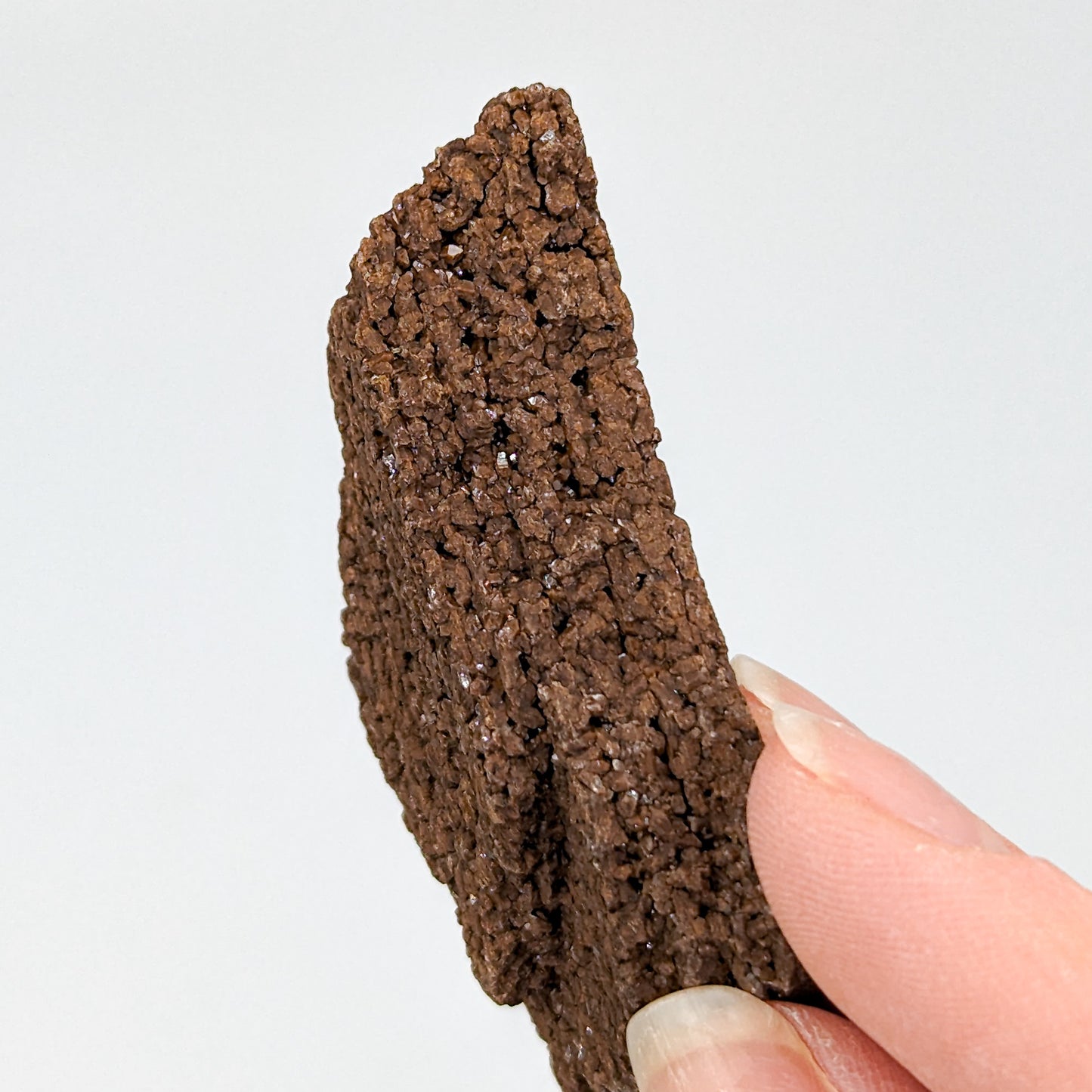 Perimineralized Fossil Wood with Quartz I