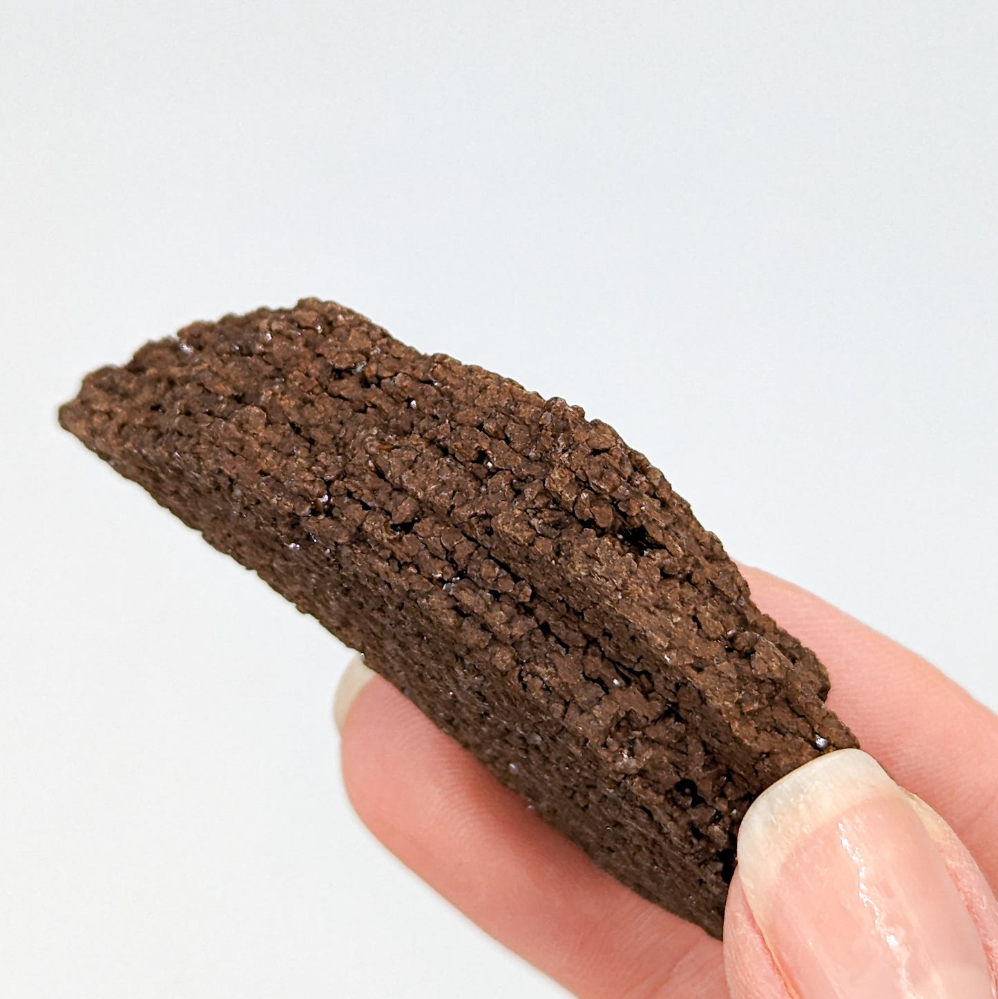 Perimineralized Fossil Wood with Quartz I