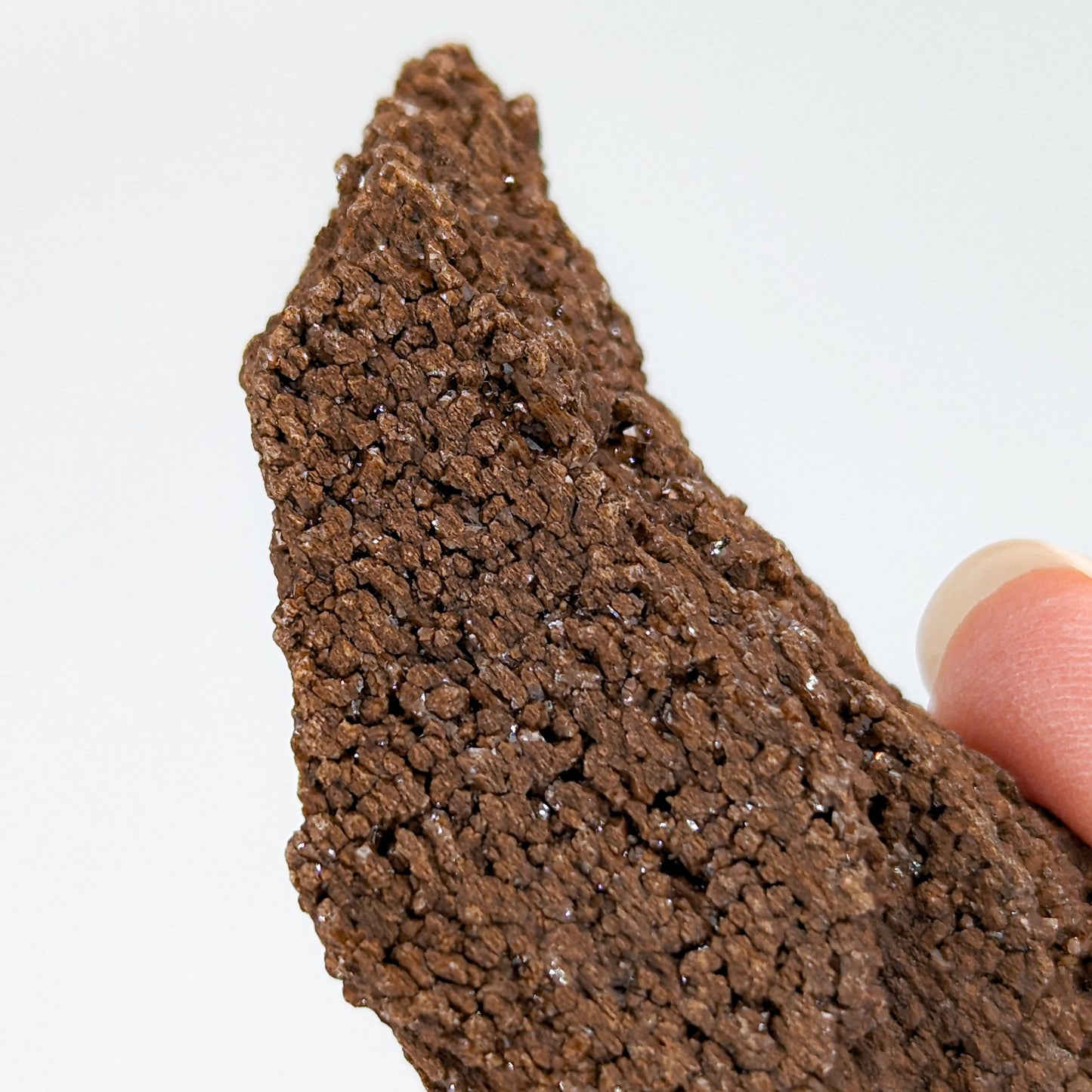 Perimineralized Fossil Wood with Quartz I