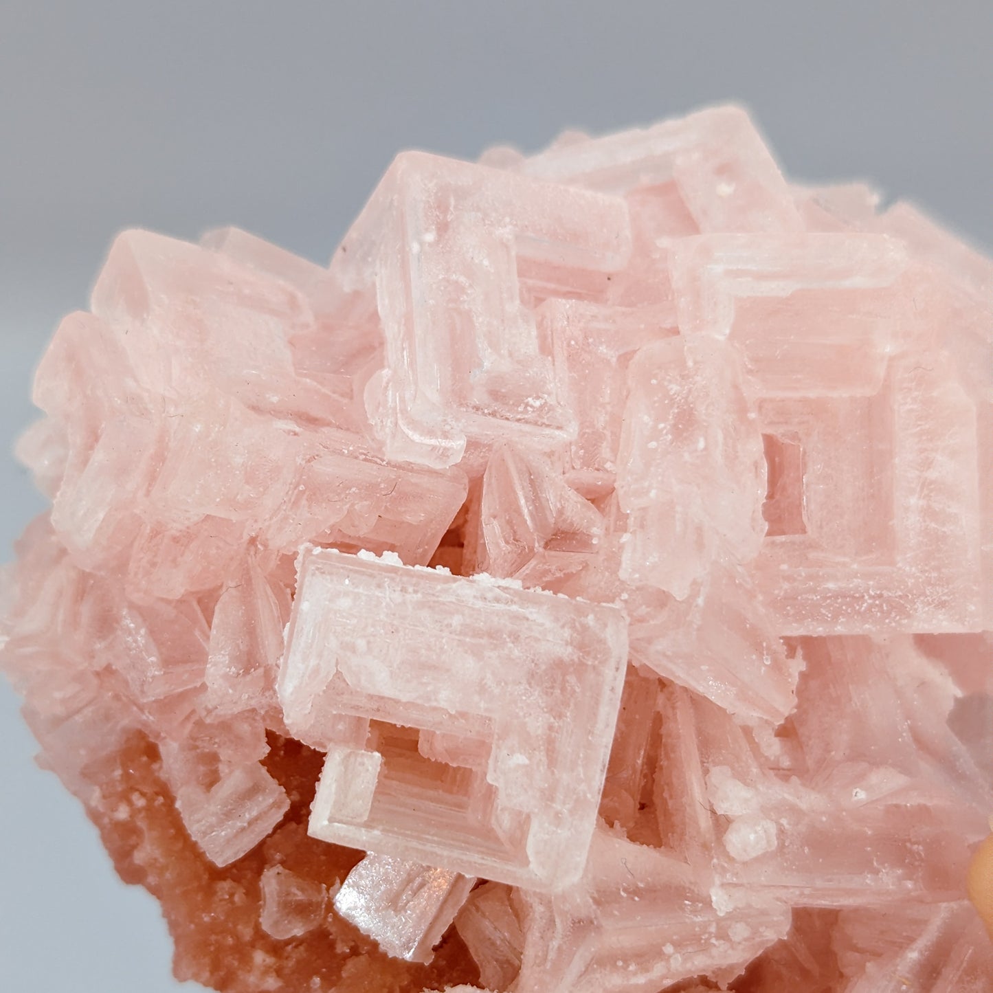 Pink Halite Cluster B