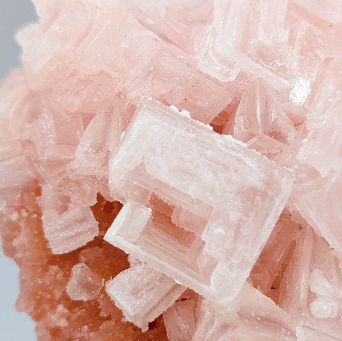 Pink Halite Cluster B