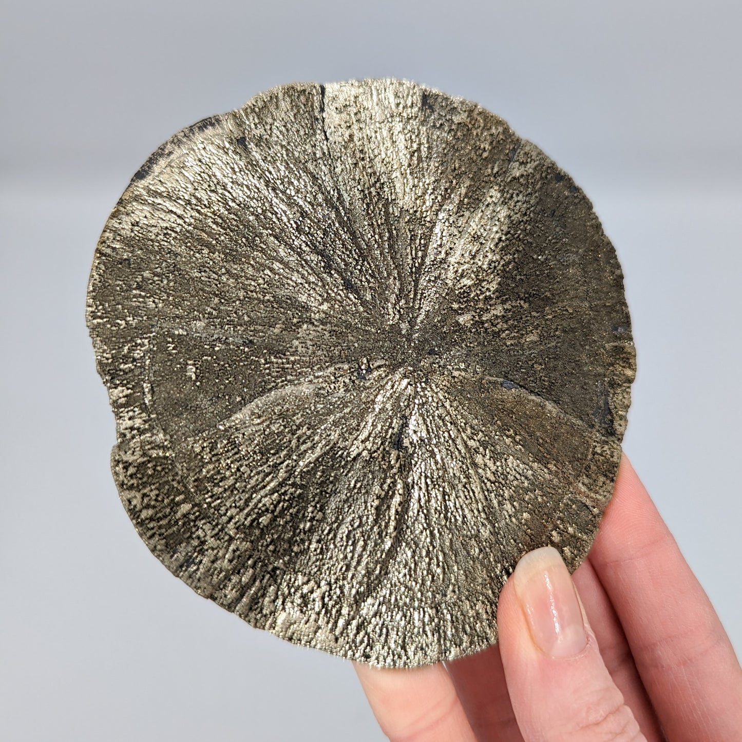 Pyrite Sun C