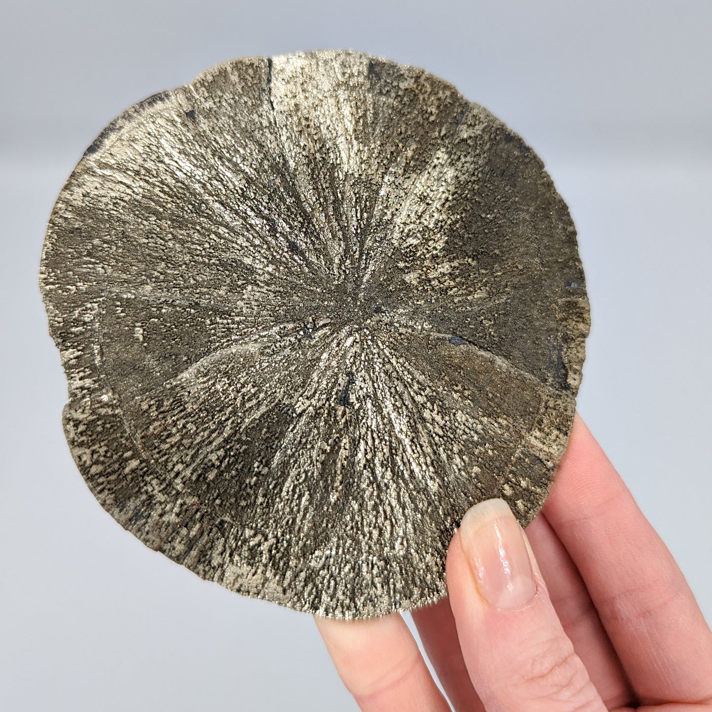 Pyrite Sun C