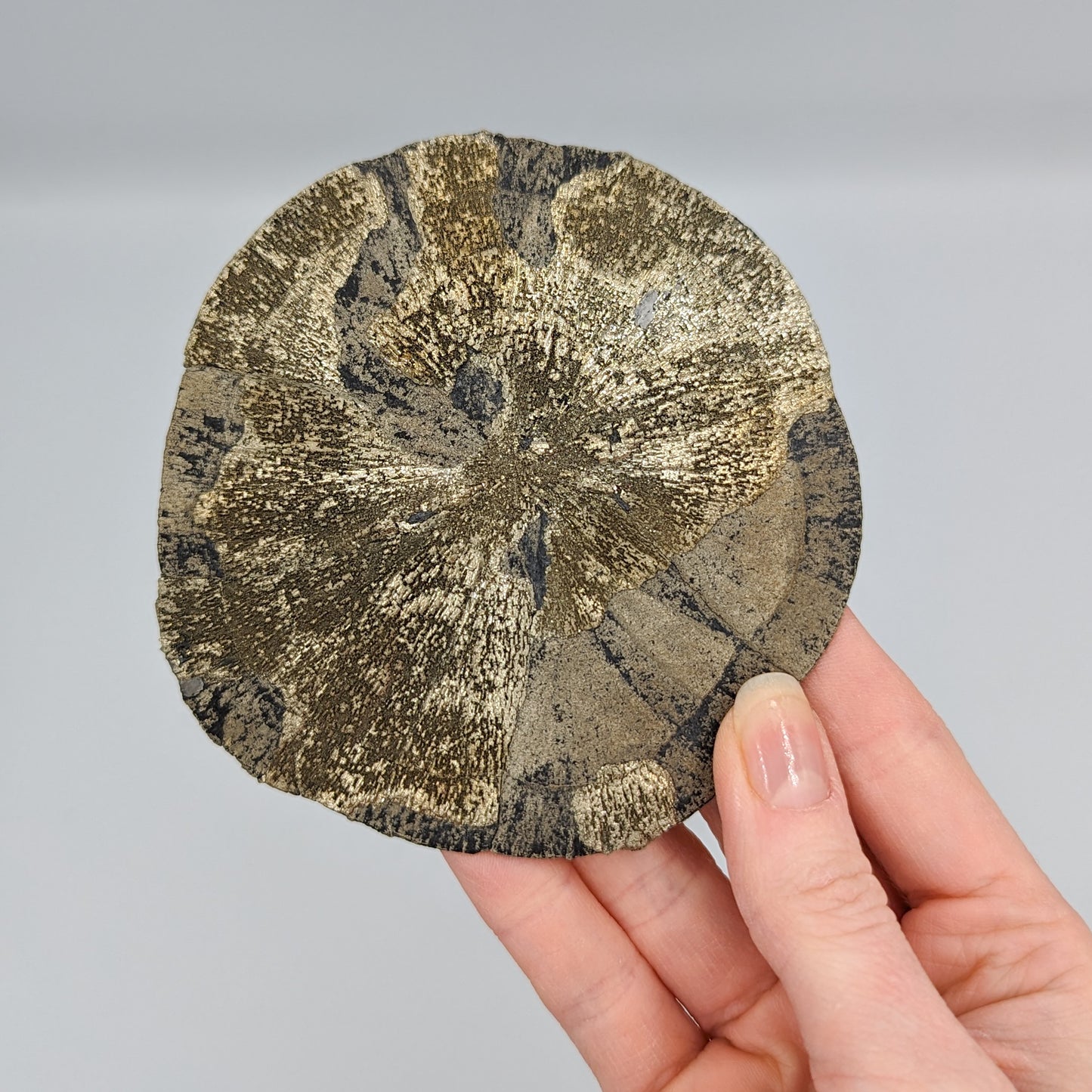 Pyrite Sun E