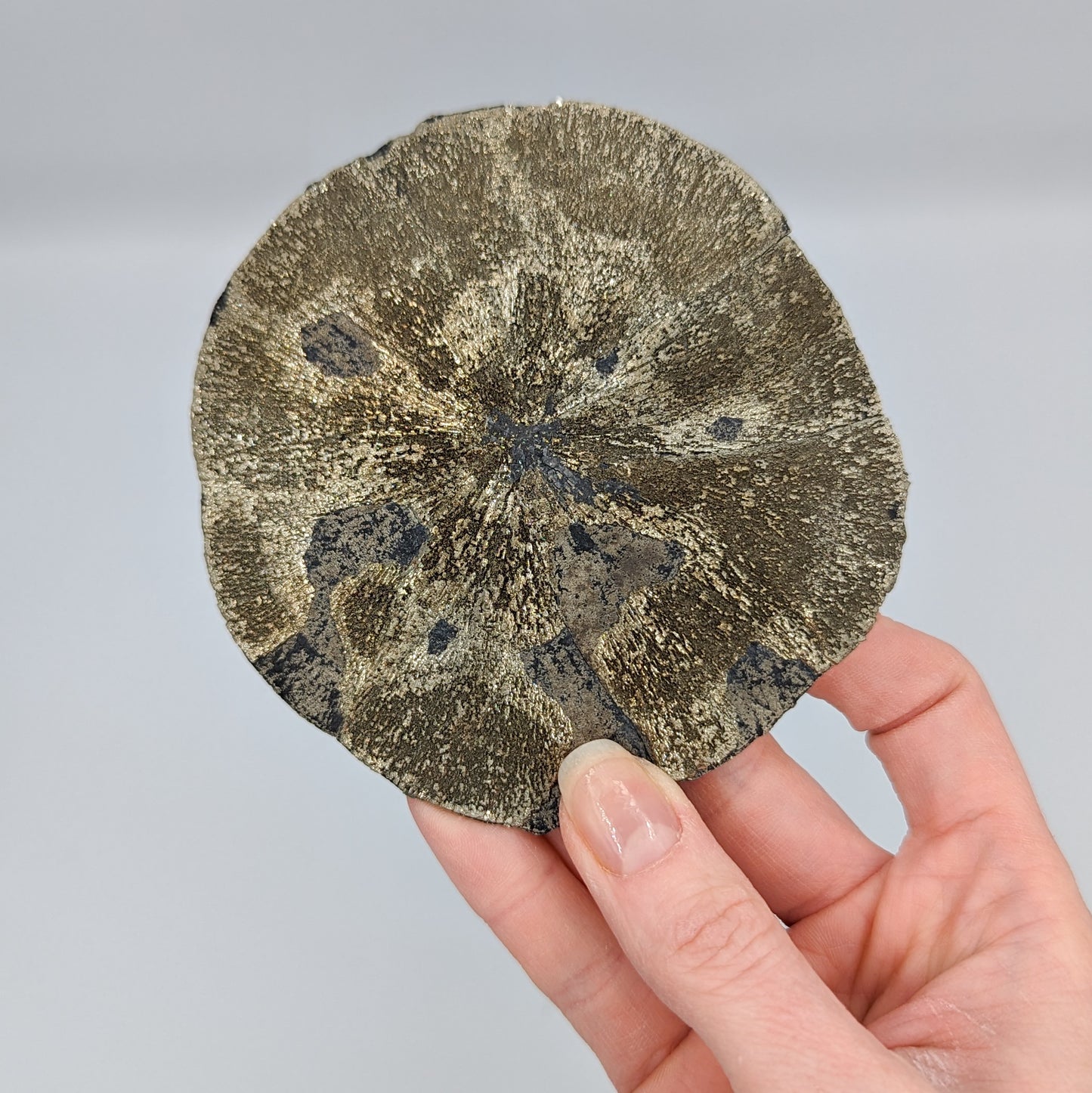 Pyrite Sun E