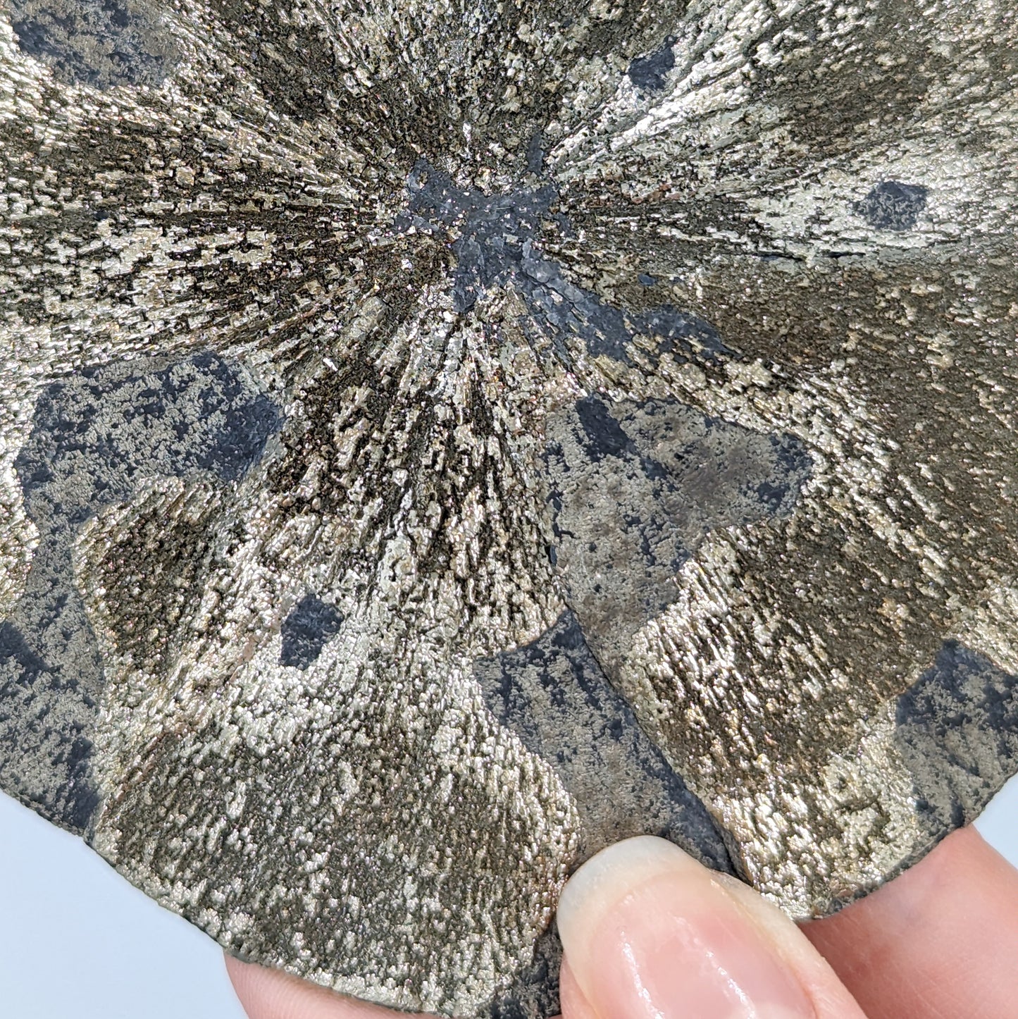 Pyrite Sun E