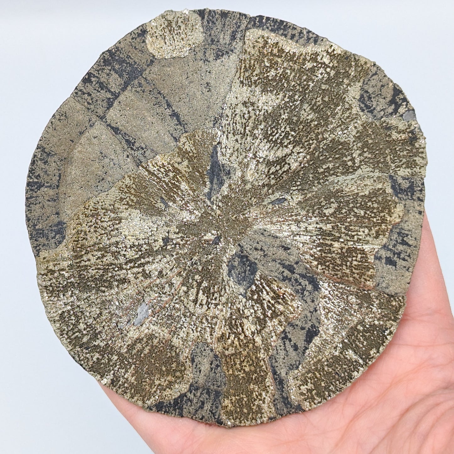 Pyrite Sun E