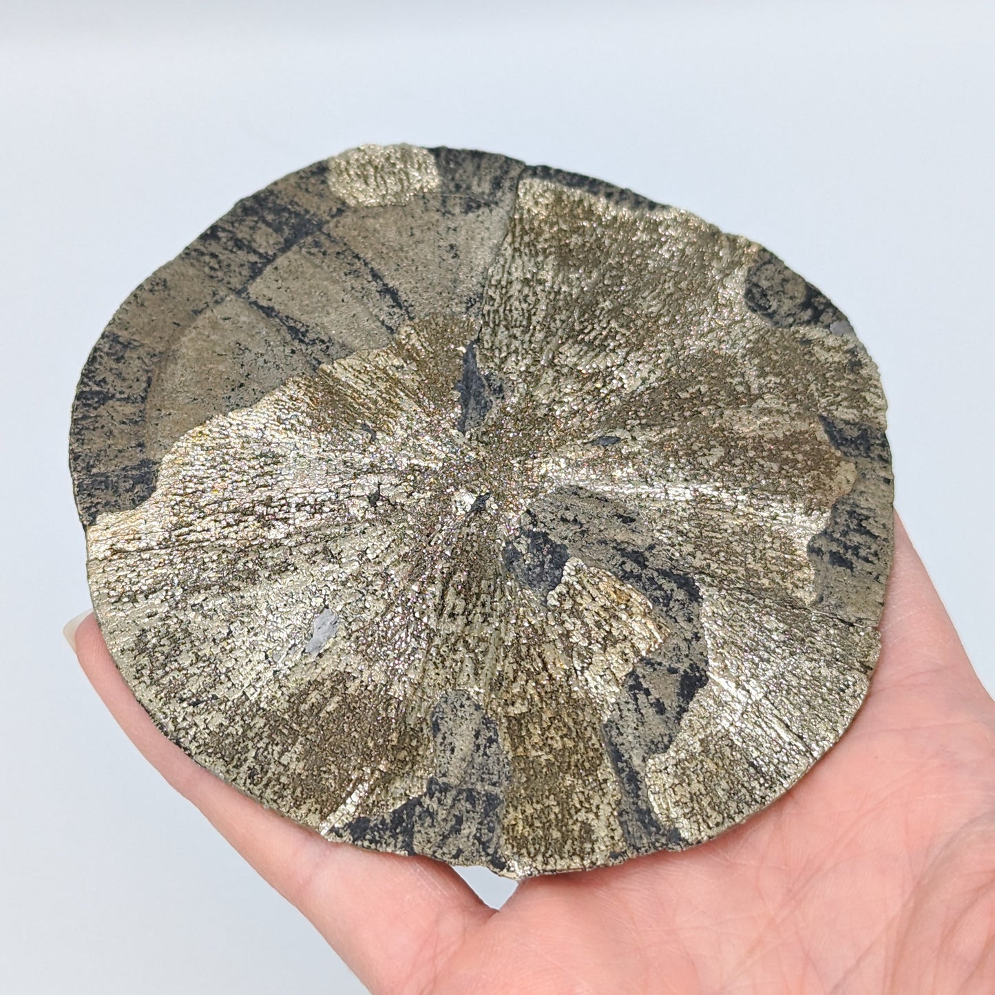 Pyrite Sun E