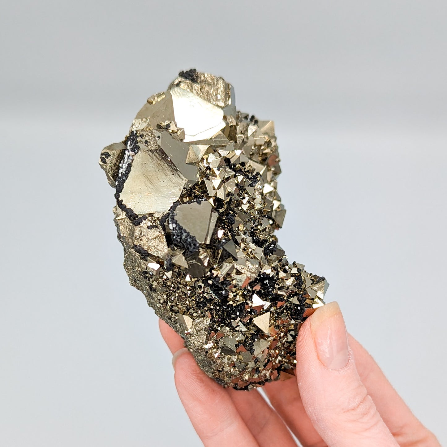 Pyrite Octahedral Cluster from Peru C