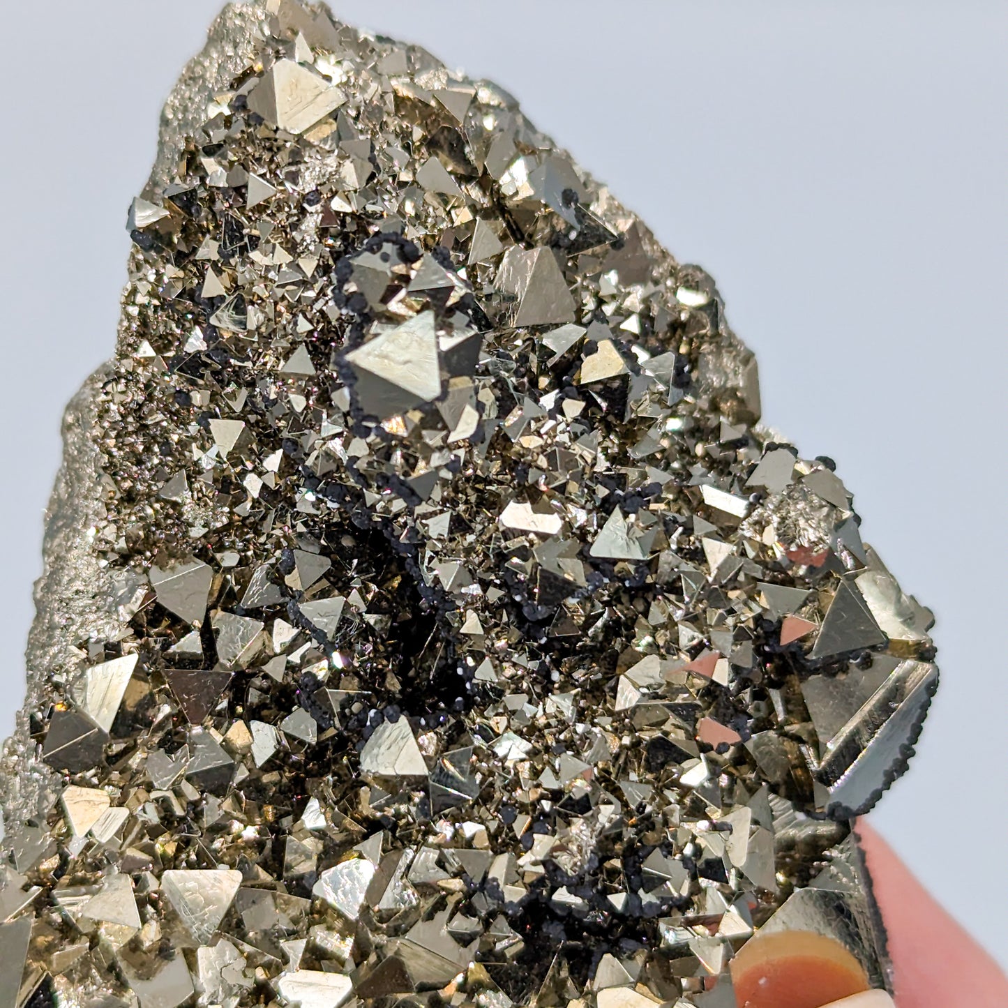 Pyrite Octahedral Cluster from Peru C
