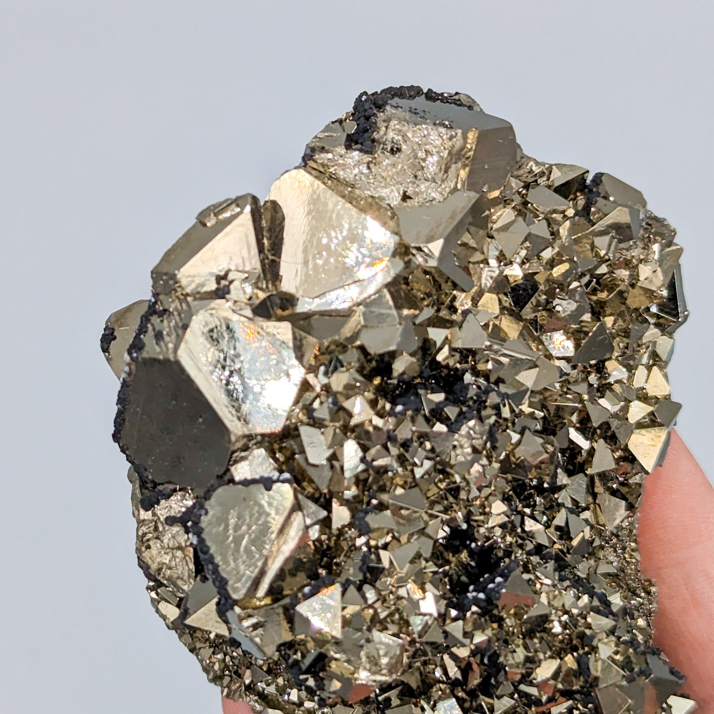 Pyrite Octahedral Cluster from Peru C