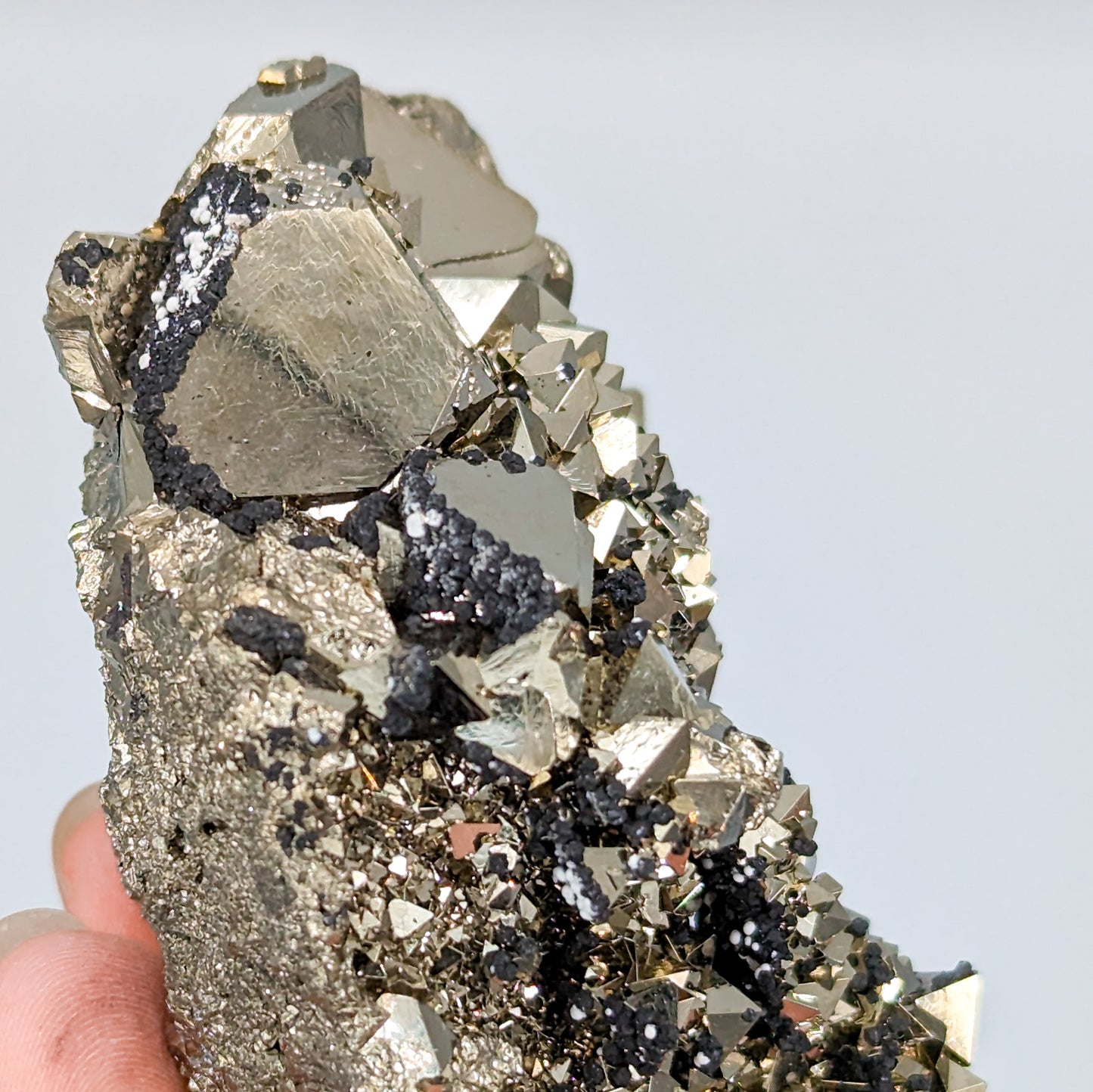 Pyrite Octahedral Cluster from Peru C