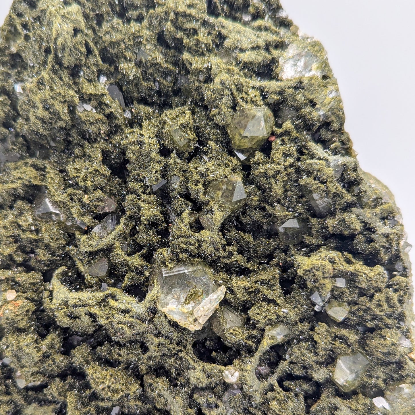 Forest Quartz with Epidote A