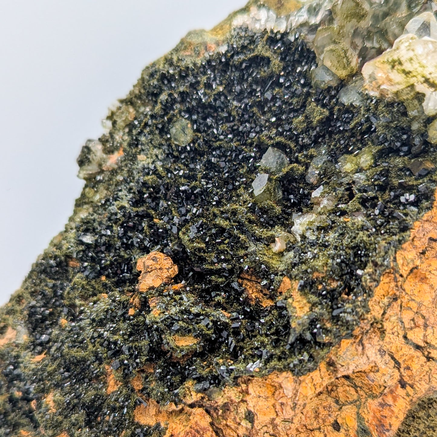 Forest Quartz with Epidote A
