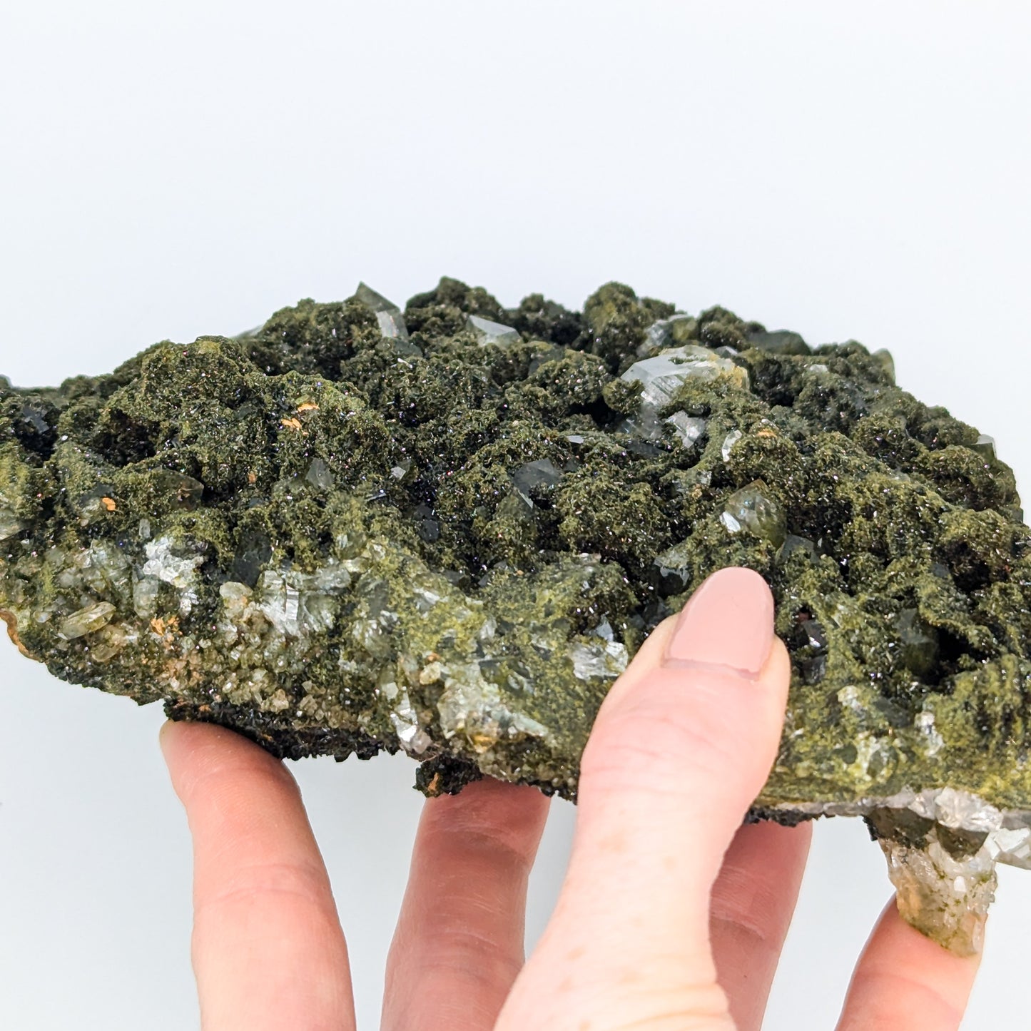 Forest Quartz with Epidote A