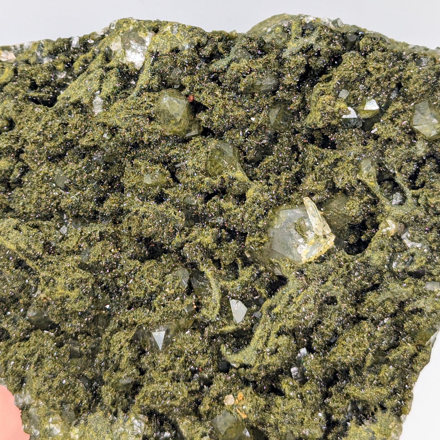 Forest Quartz with Epidote A