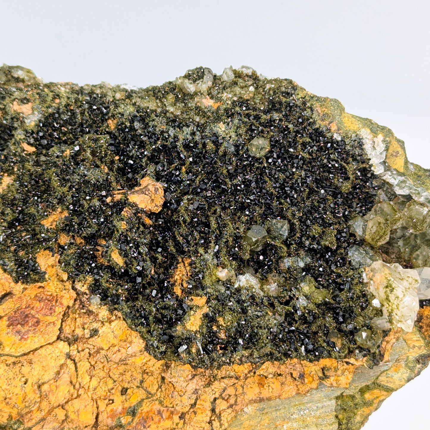 Forest Quartz with Epidote A