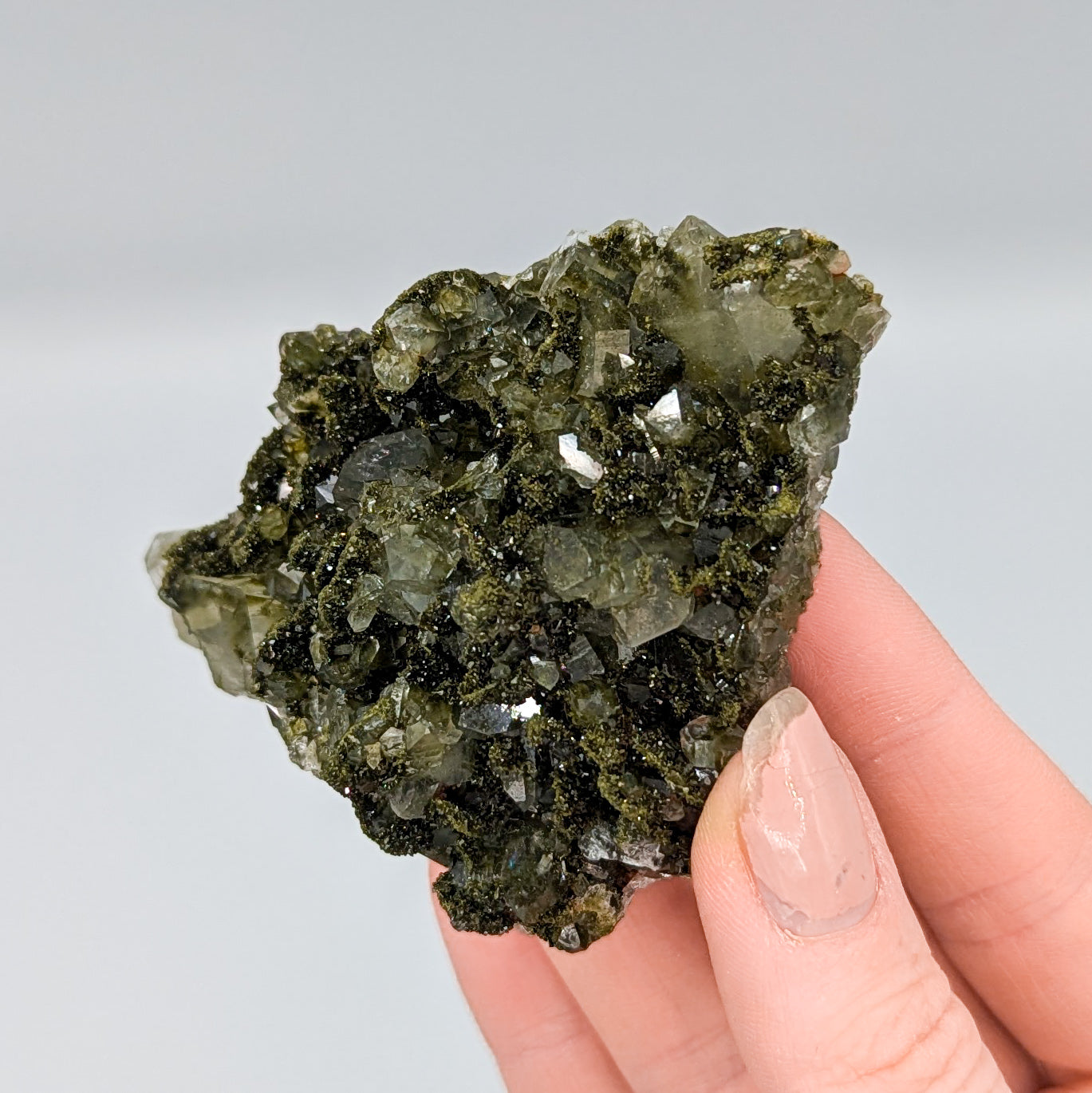 Forest Quartz with Epidote C