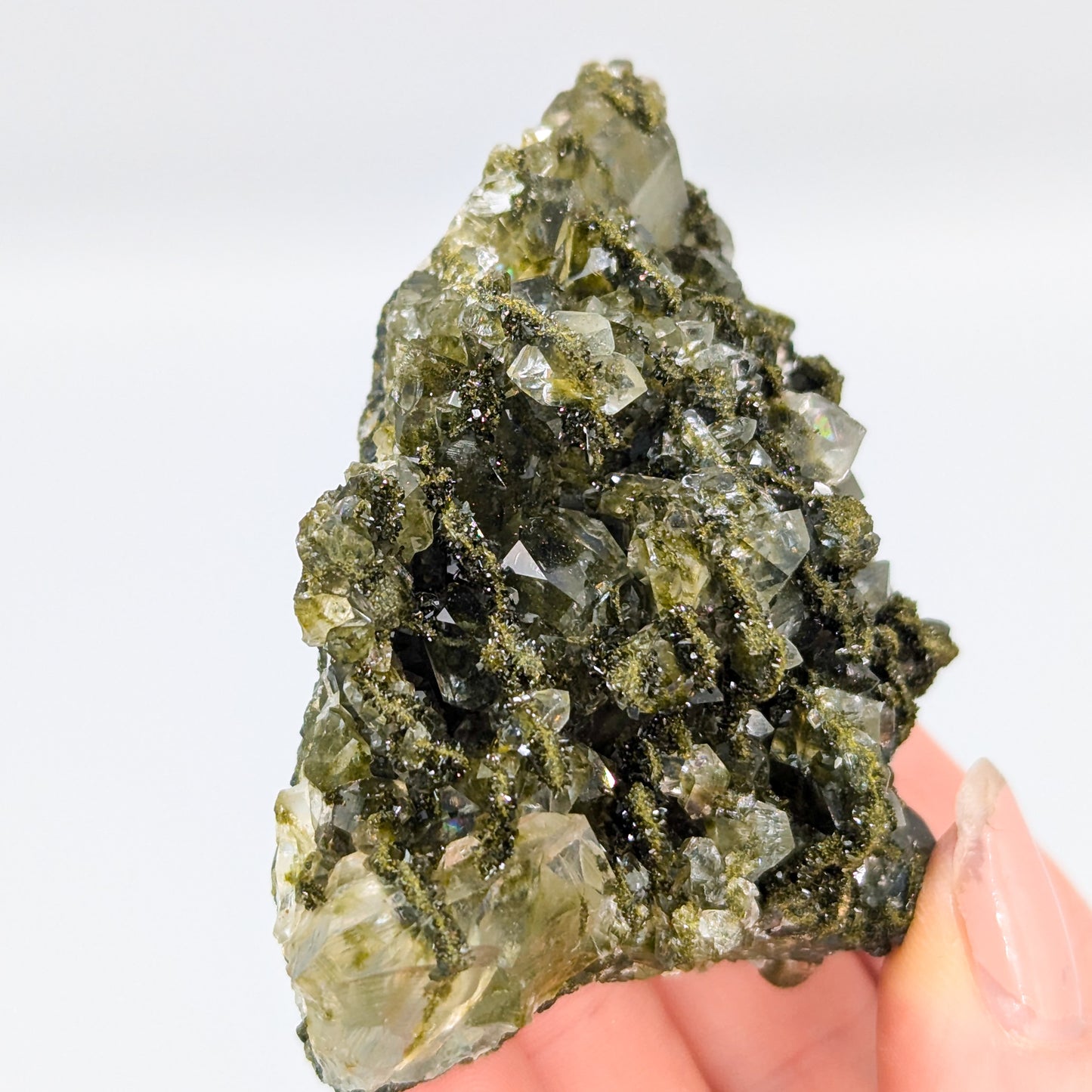 Forest Quartz with Epidote C