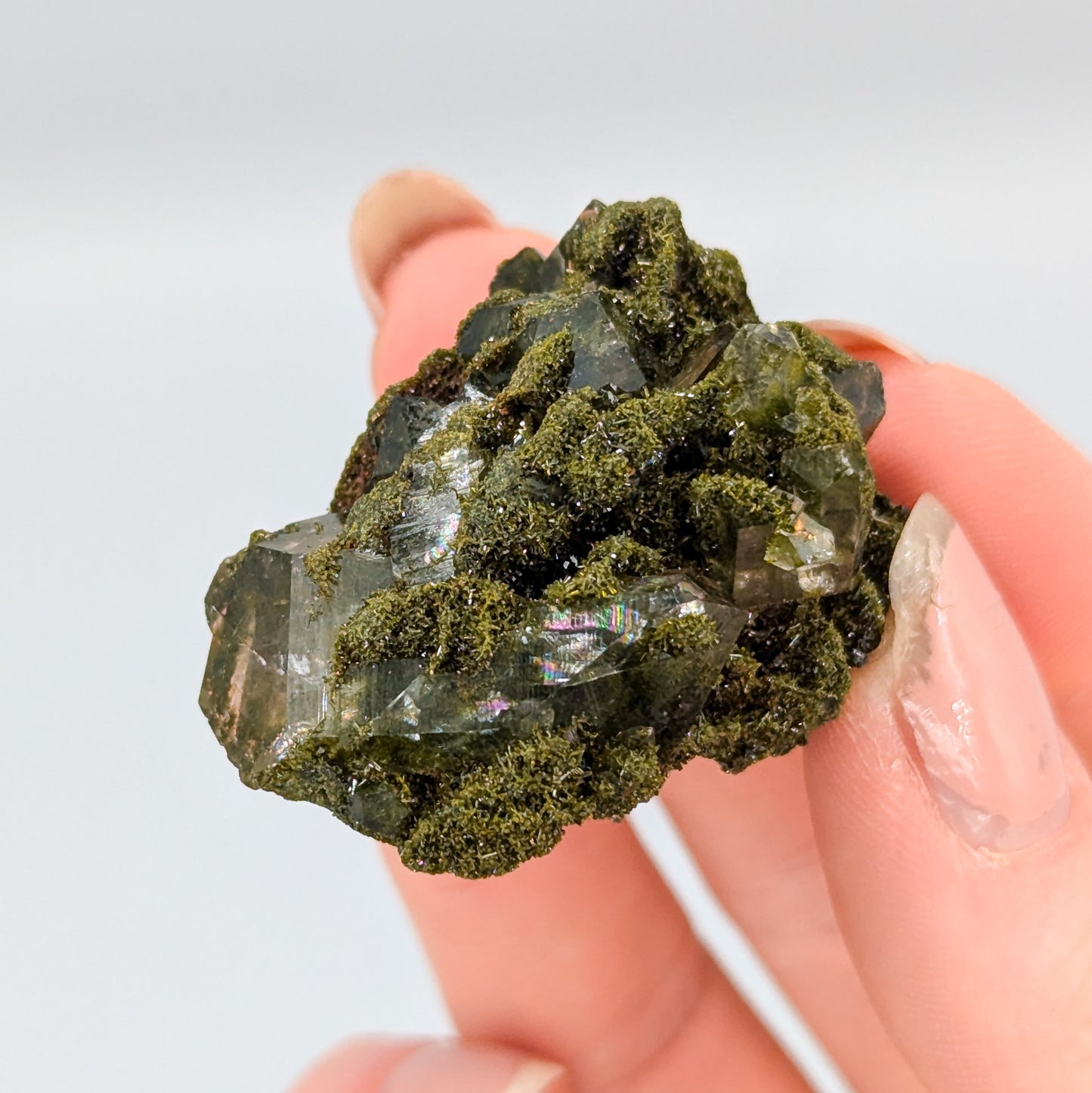 Forest Quartz with Epidote D
